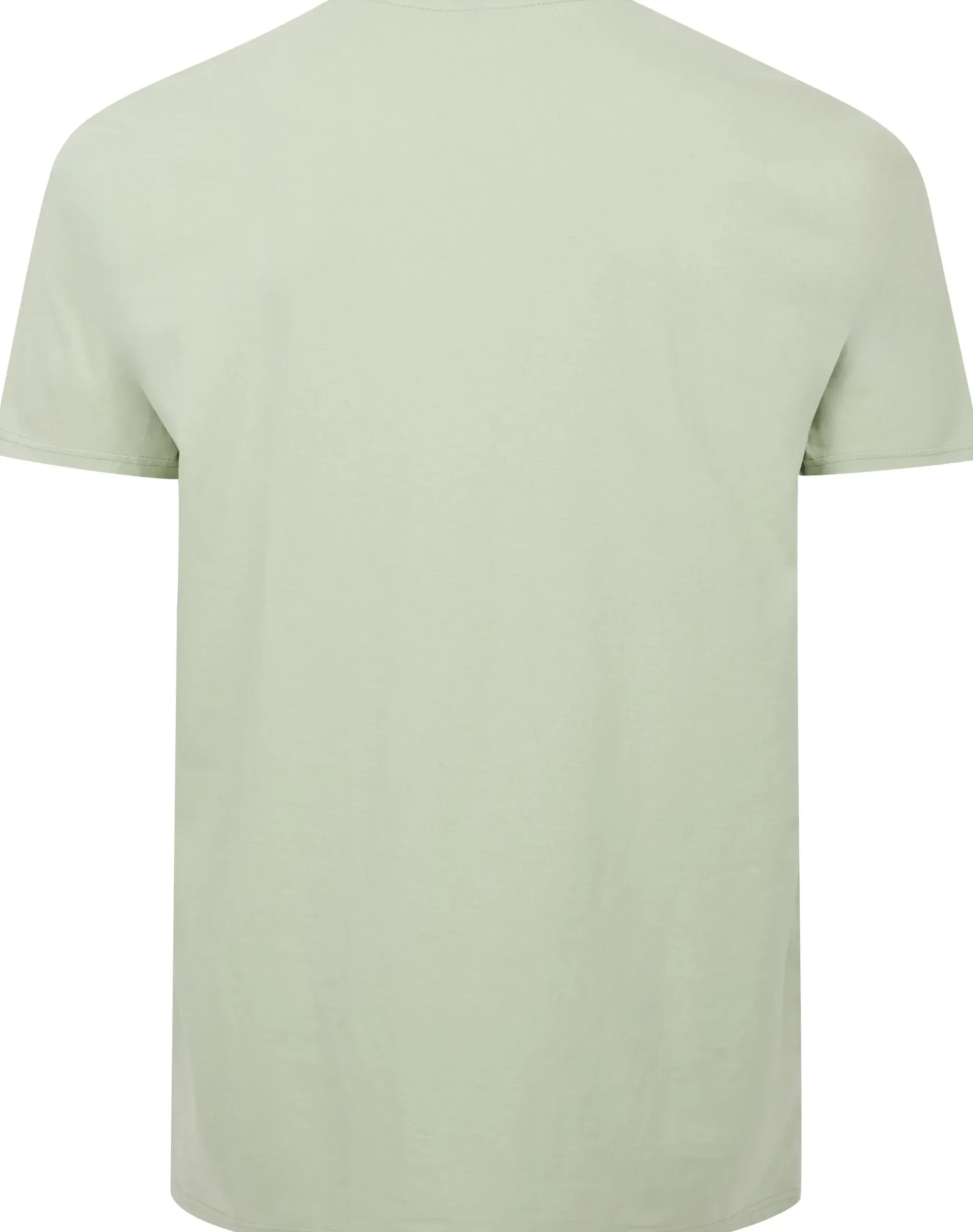 Bigdude California Print T-Shirt Light Green