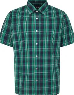 Bigdude Checked Poplin Short Sleeve Shirt Green/Navy Tall