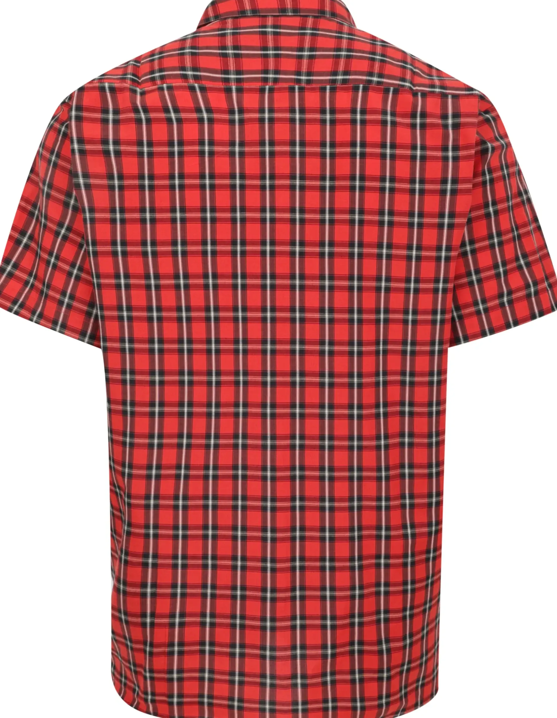 Bigdude Checked Poplin Short Sleeve Shirt Pepper Red/Black Tall