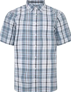 Bigdude Cutaway Collar Checked Shirt Light Blue/White