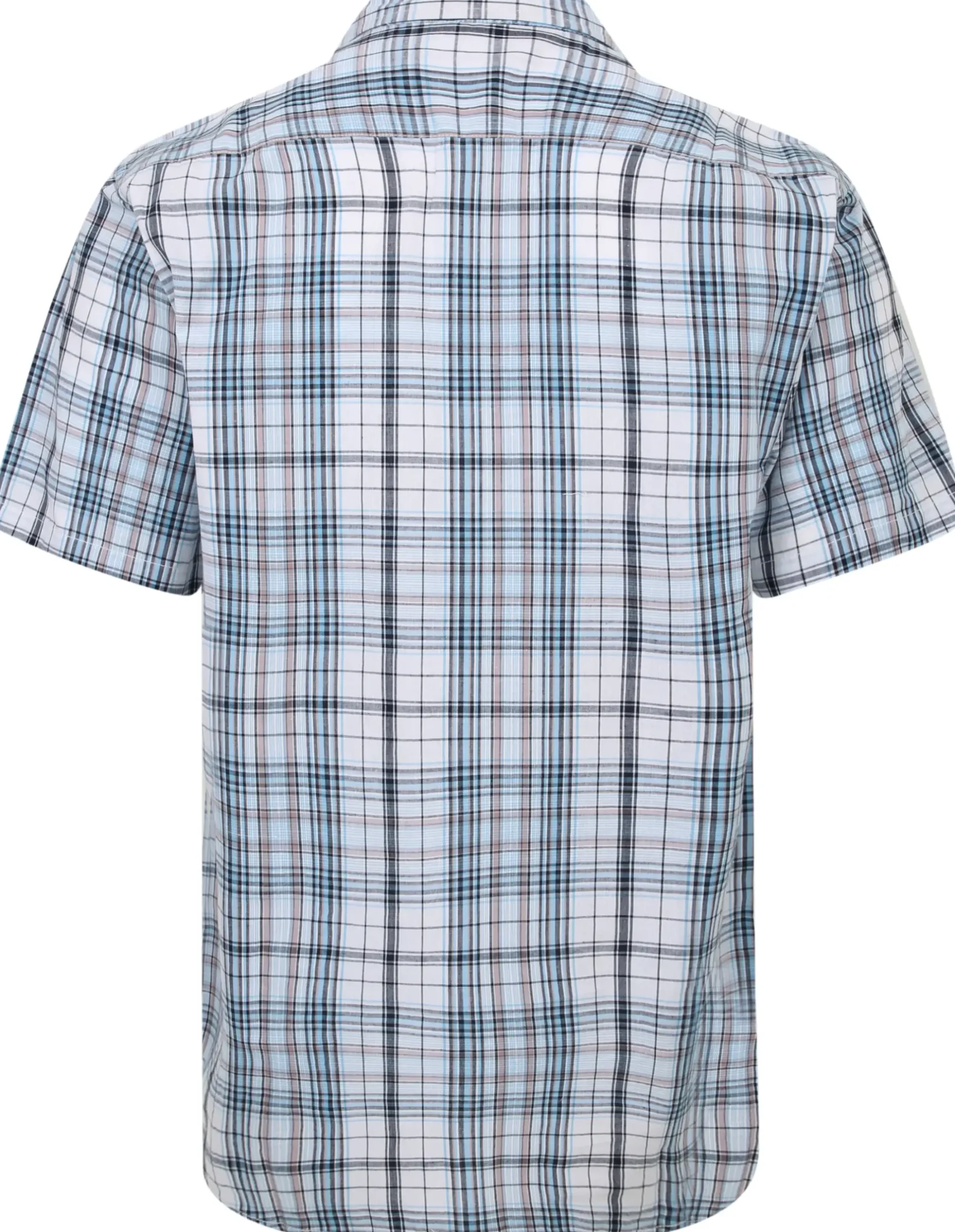 Bigdude Cutaway Collar Checked Shirt Light Blue/White