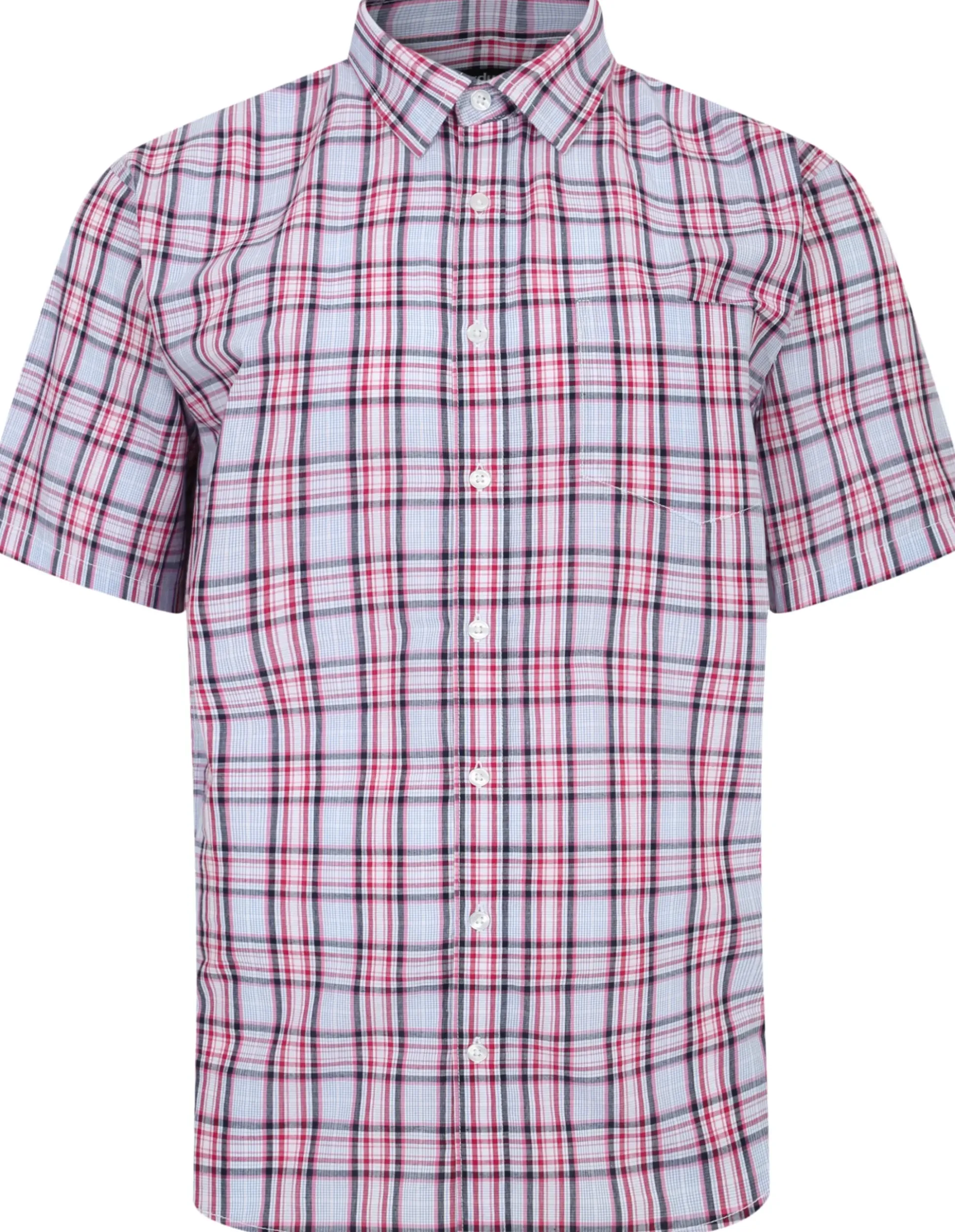 Bigdude Cutaway Collar Checked Shirt Pink/White Tall