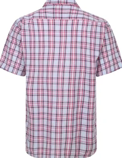 Bigdude Cutaway Collar Checked Shirt Pink/White Tall