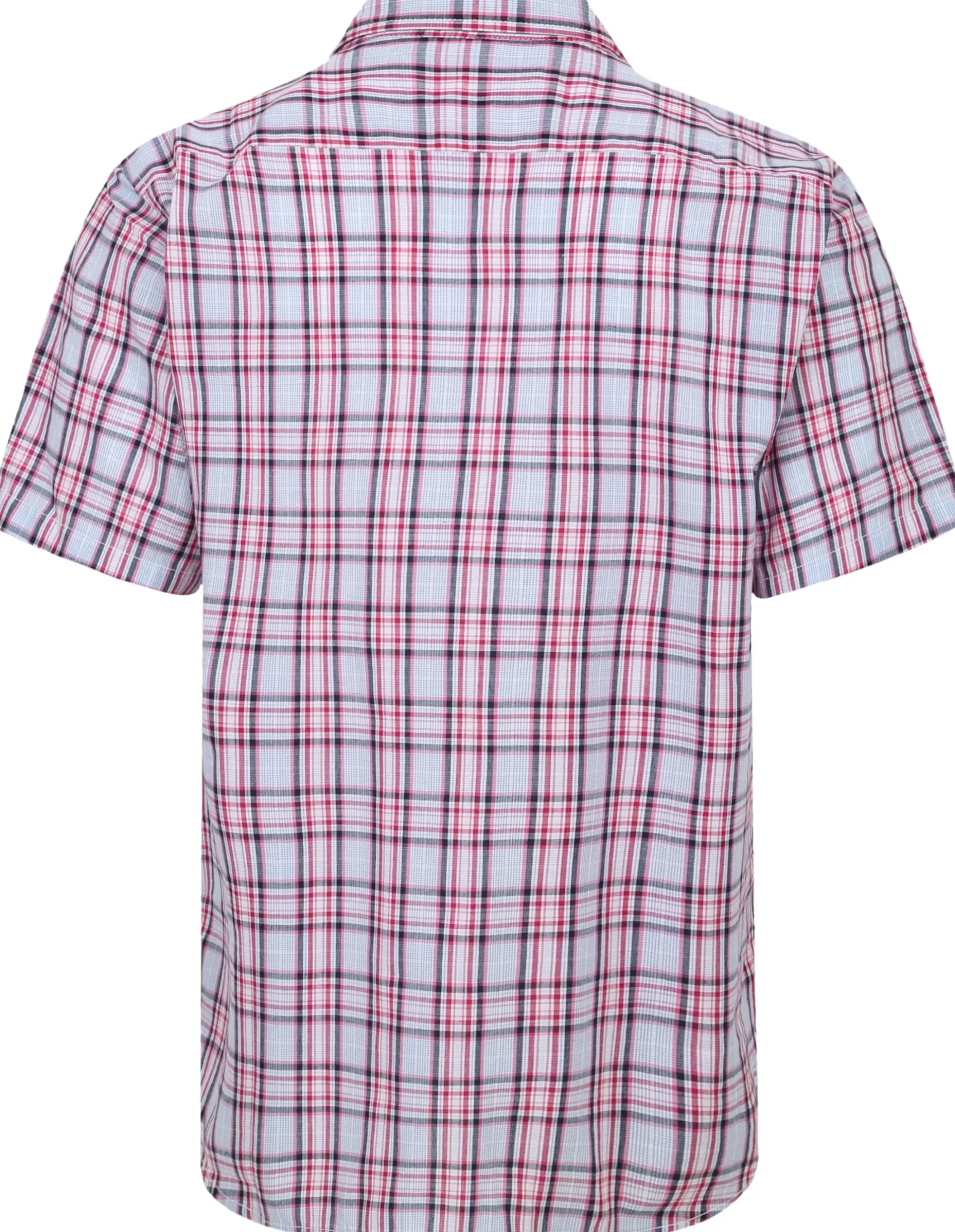 Bigdude Cutaway Collar Checked Shirt Pink/White Tall