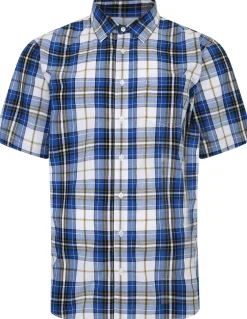 Bigdude Cutaway Collar Checked Shirt Royal Blue/White Tall