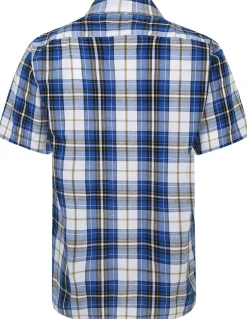Bigdude Cutaway Collar Checked Shirt Royal Blue/White Tall