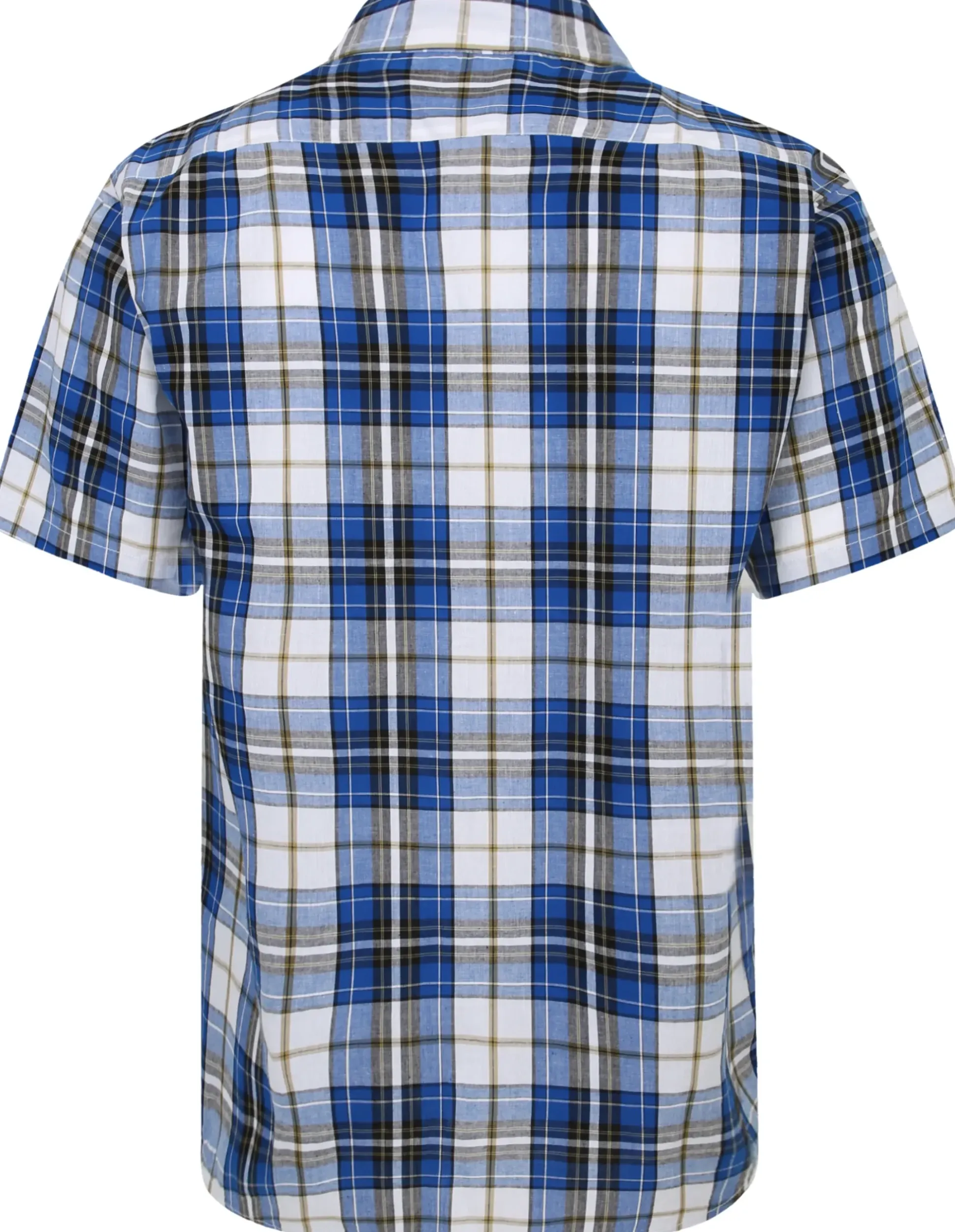 Bigdude Cutaway Collar Checked Shirt Royal Blue/White Tall