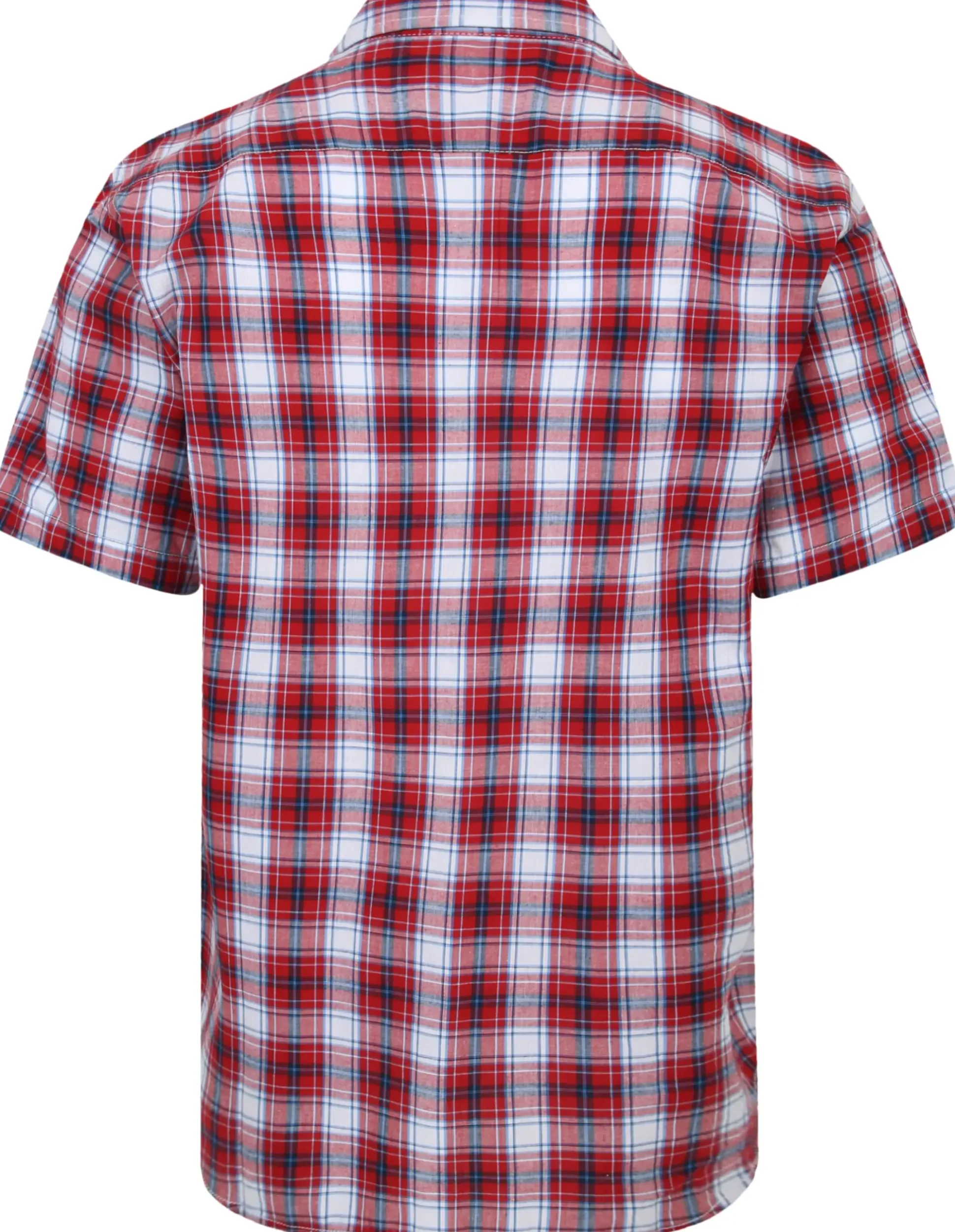Bigdude Cutaway Collar Checked Shirt Red/Royal Blue Tall