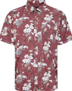 Bigdude Floral Allover printed Short Sleeve Shirt Burgundy