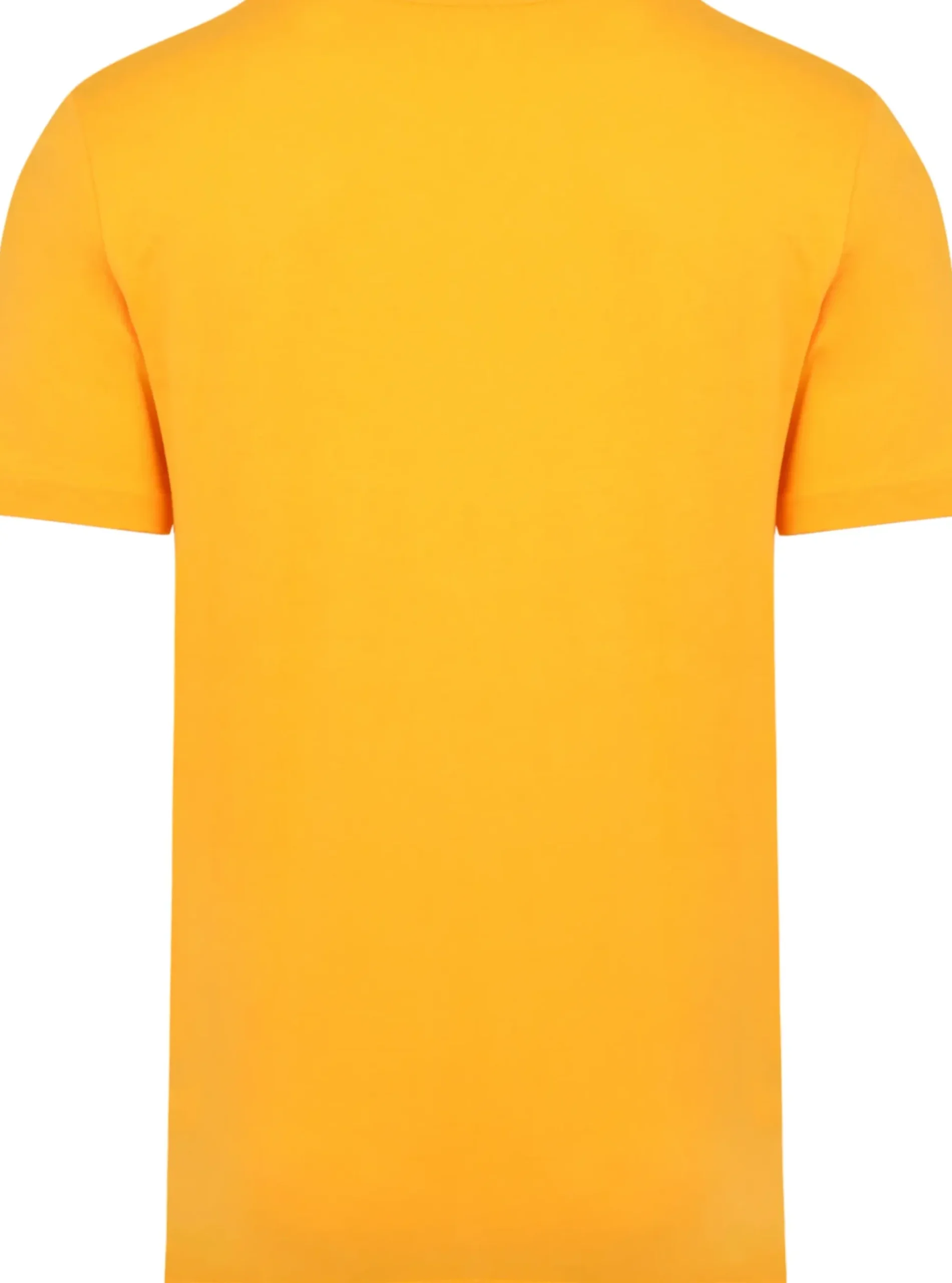 Bigdude Plain Crew Neck T-Shirt Orange