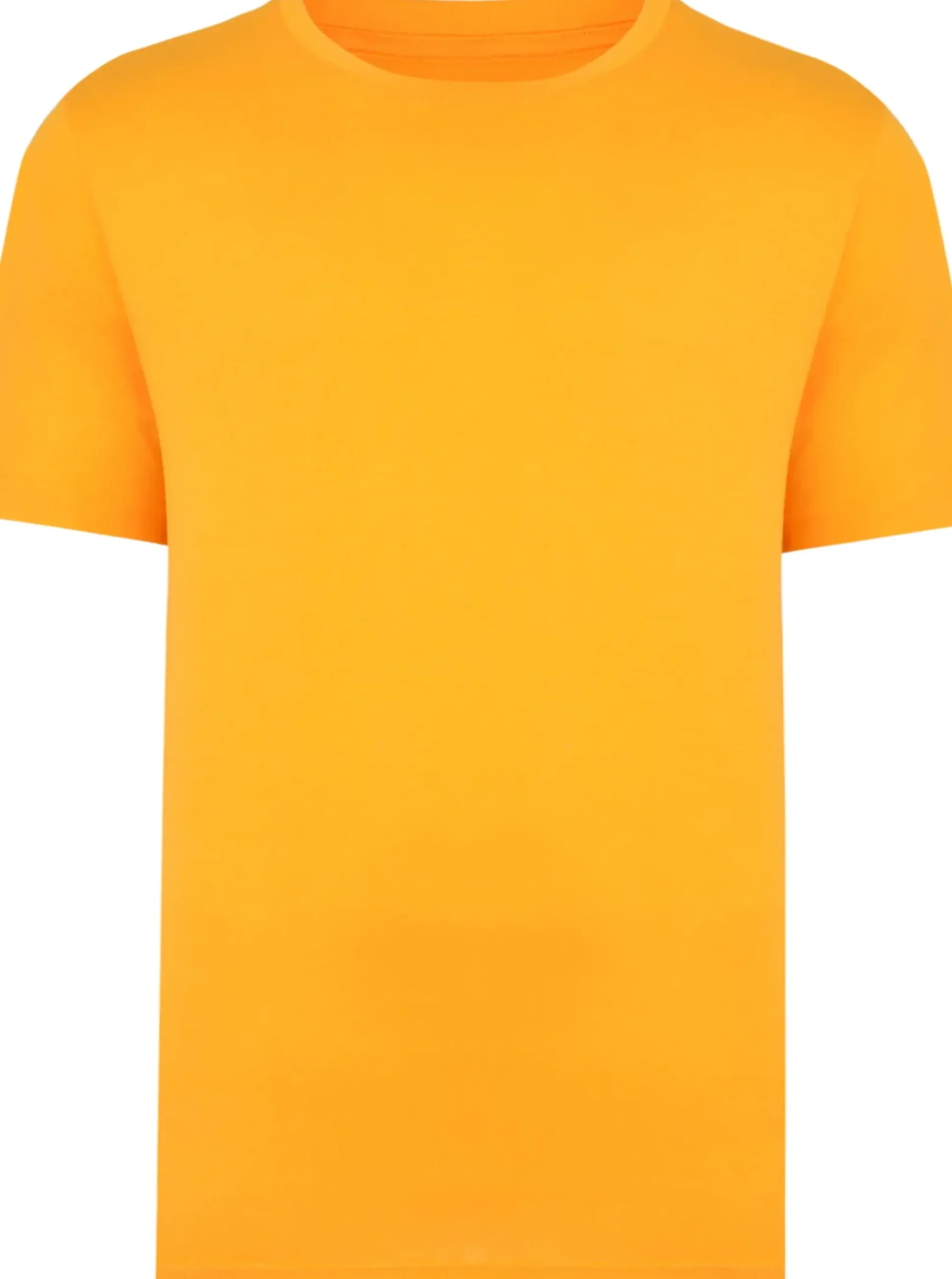 Bigdude Plain Crew Neck T-Shirt Orange Tall