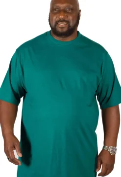 Bigdude Plain Crew Neck T-Shirt Green