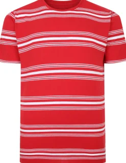 Bigdude Pure Cotton Striped T-Shirt Red Tall