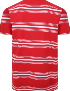 Bigdude Pure Cotton Striped T-Shirt Red Tall