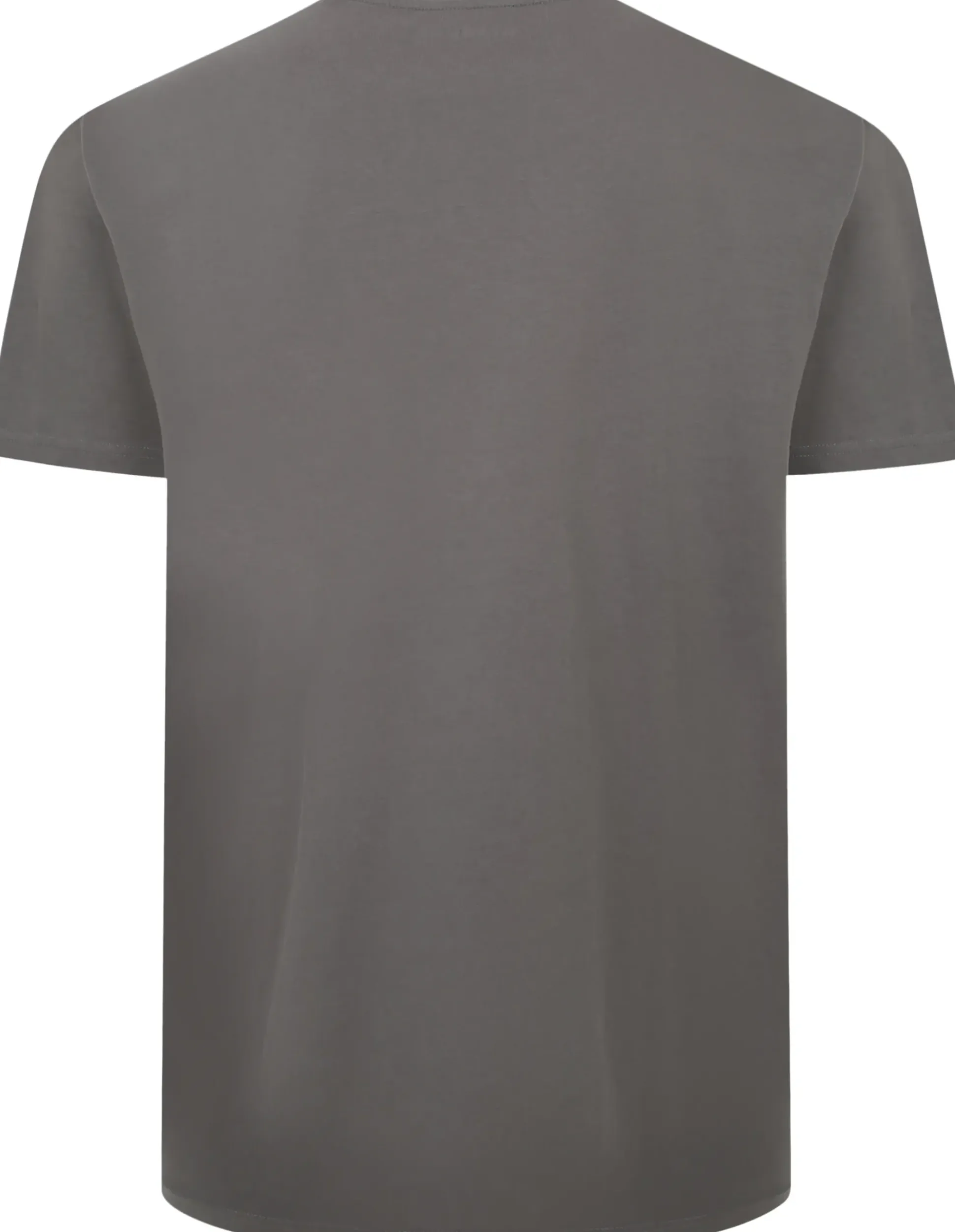 Bigdude Slogan Embroidered T-Shirt Washed Charcoal