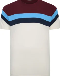 Bigdude Striped Colour Block T-Shirt Burgundy Tall
