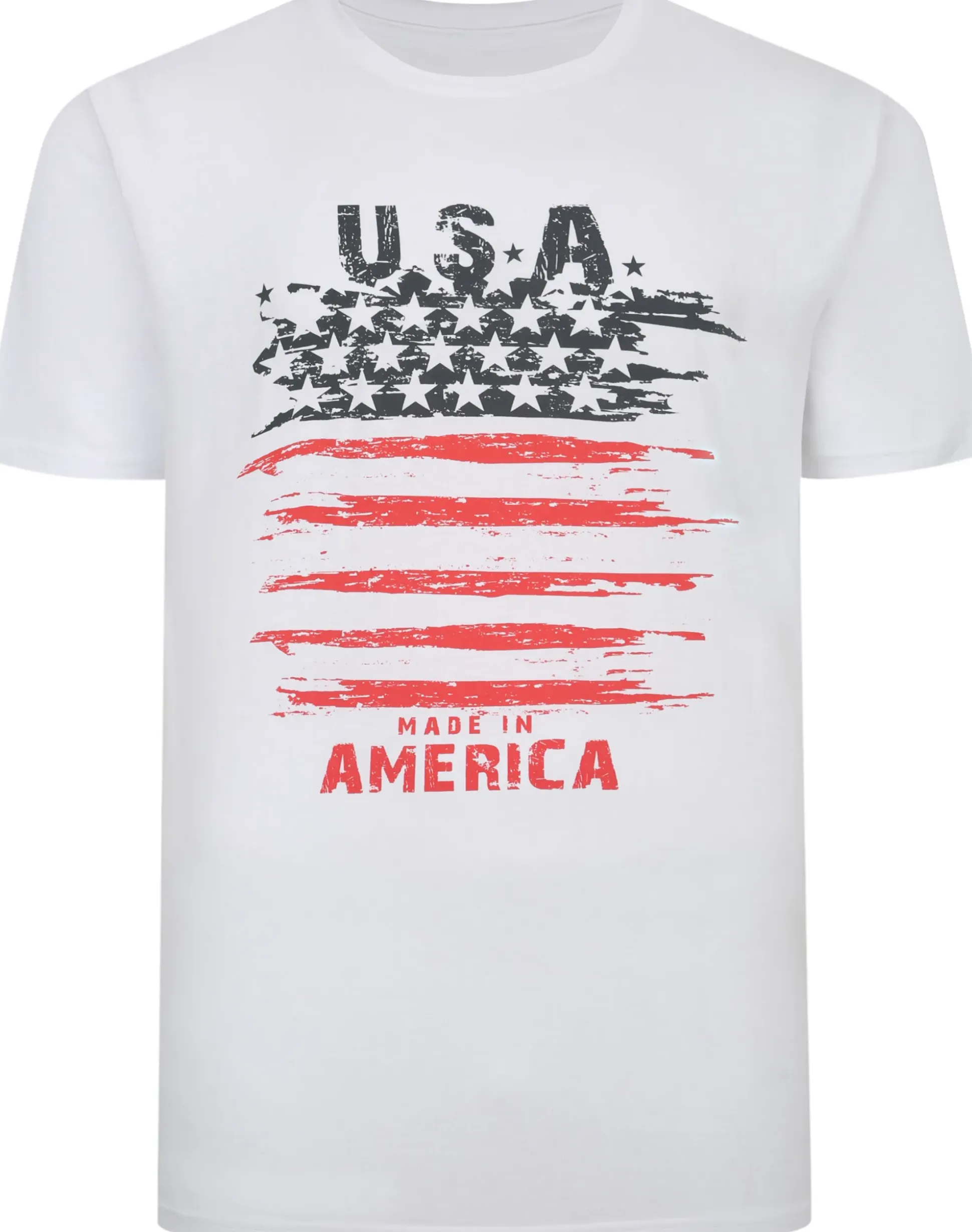 Bigdude USA Print T-Shirt White