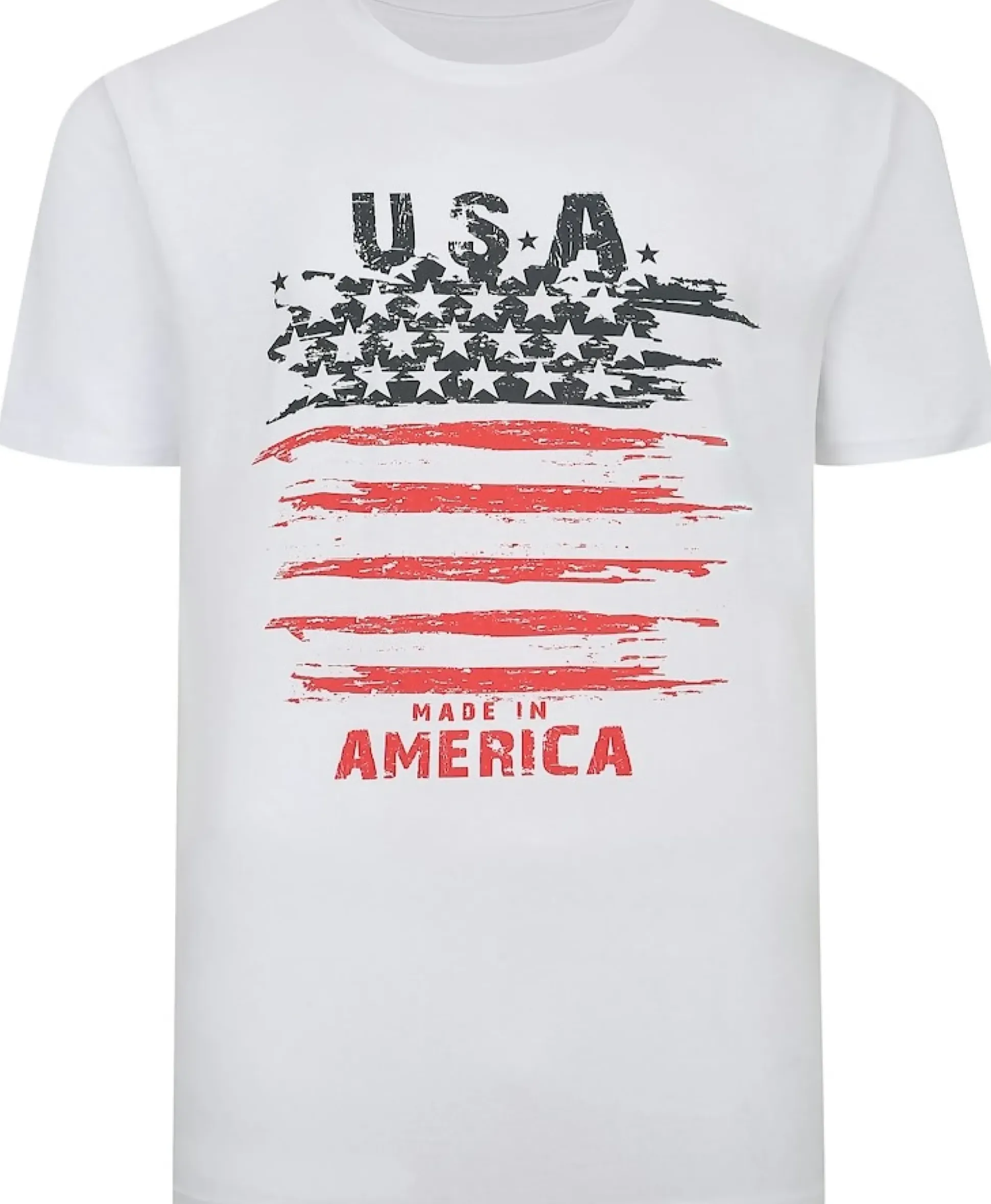 Bigdude USA Print T-Shirt White Tall